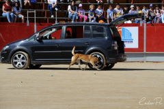 2025-05-11-Exhibicion-Policia-Nacional-04-CARLOS-PI