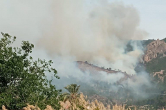 2026-06-02-Incendio-Los-Garres-01