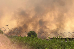 2026-06-02-Incendio-Los-Garres-04