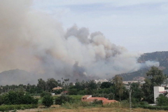 2026-06-02-Incendio-Los-Garres-06