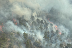 2026-06-02-Incendio-Los-Garres-11