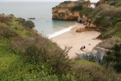 2021-04-25-Litoral-gaviotas-2