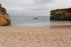 2021-04-25-Litoral-gaviotas-3