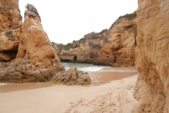 2021-04-25-Litoral-gaviotas-4