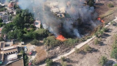 Photo of Alarma en Rincón de Beniscornia por el incendio de un cañal junto a viviendas