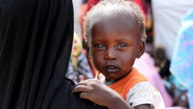 Photo of Sudán se enfrenta a la hambruna: “millones de vidas están en peligro” por la guerra