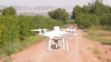 Photo of Proyecto piloto para el uso de drones en ‘agricultura de precisión’