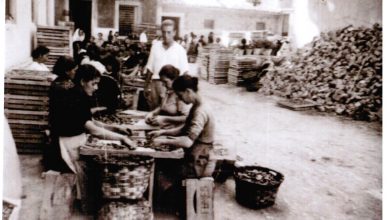 Photo of La historia de la conserva de Alcantarilla, en fotos y etiquetas de época