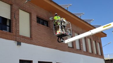 Photo of Alumnos de Primaria participan en una campaña para salvar los nidos de vencejos y golondrinas