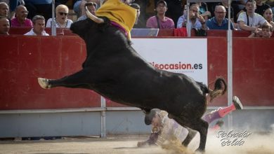Photo of El novillero José María Trigueros pasa por quirófano tras su cogida en la novillada de Alcantarilla