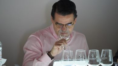 Photo of Jumilla premia los doce mejores vinos de su denominación de origen