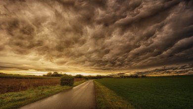 Photo of Nueva alerta de la Aemet para casi toda la Región: calor extremo y riesgo de granizo de gran tamaño
