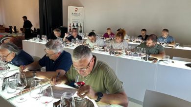 Photo of La añada 2024 de los vinos de Jumilla consigue la calificación oficial de “muy buena”