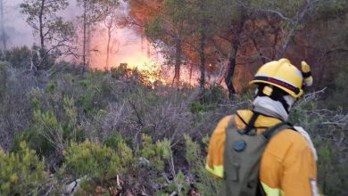 Photo of Las temperaturas y las tormentas causan 18 incendios forestales y el calor seguirá apretando