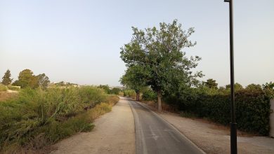 Photo of Las farolas vuelven al carril bici Murcia-Contraparada tras dos robos de cable