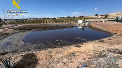 Photo of Cuatro ganaderos, investigados por el vertido ilegal de purines de cerdo a una rambla