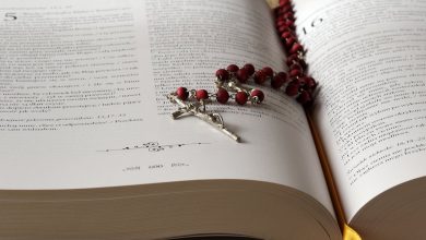 Photo of Reflexión dominical. La fe en la resurrección
