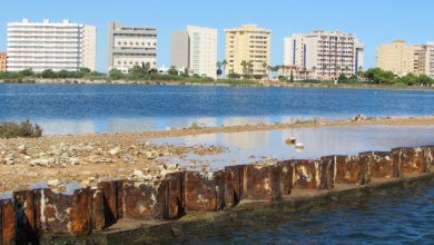 Photo of Puerto Mayor: cincuenta años de un puerto inacabado que pronto será desmantelado