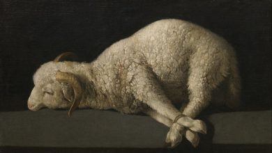 Photo of Reflexión dominical. El Cordero de Dios nos libera del pecado