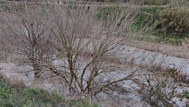 Photo of Las reservas de los pantanos alcanzan niveles desconocidos: están al 40% de su capacidad
