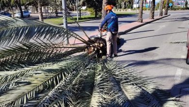 Photo of Alcantarilla batió récord de viento el día de los enamorados: 96 kilómetros por hora