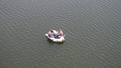 Photo of Científicos estudiarán las poblaciones de peces y plantas de los pantanos murcianos