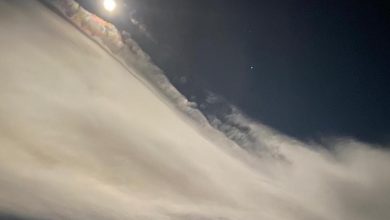 Photo of Alcantarilla se adentra este fin de semana en los 40 grados centígrados
