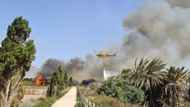 Photo of Las cenizas de un incendio en la huerta de La Arboleja se esparcen por Alcantarilla