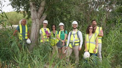 Photo of El bosque de ribera se abre paso entre los cañales del río en la Contraparada