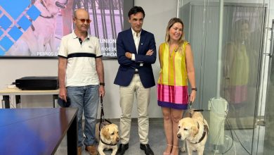 Photo of Los usuarios de perros guía recibirán ayudas para utilizar el taxi en casos de necesidad