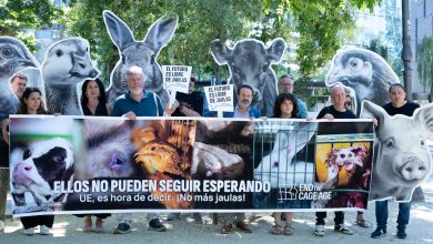 Photo of Los animalistas reclaman a Europa que cumpla su acuerdo de acabar con las jaulas en las granjas