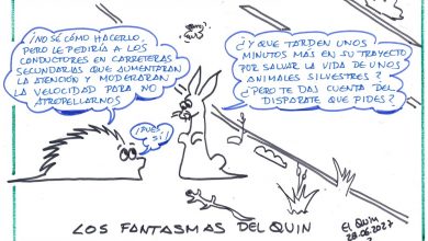Photo of Los Fantasmas del Quin. Atropellos
