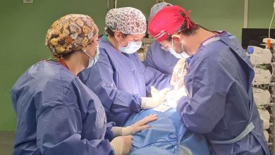Photo of España, líder en trasplante renal y pulmonar a nivel mundial