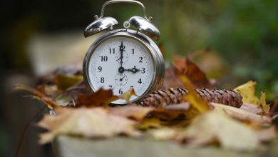 Photo of Cómo afecta el cambio de hora al cerebro: claves para adaptarse al nuevo horario