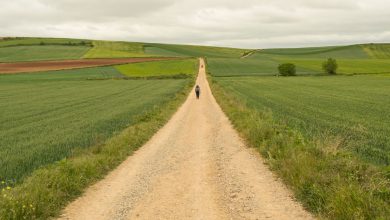 Photo of Café con Hugo. Caminos trazados por el destino