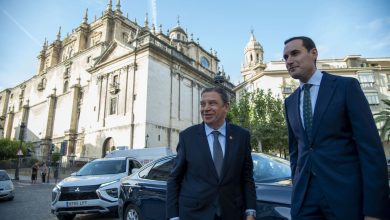 Photo of La producción de aceite de oliva aumentará este año un 23%, con 1,6 millones de toneladas