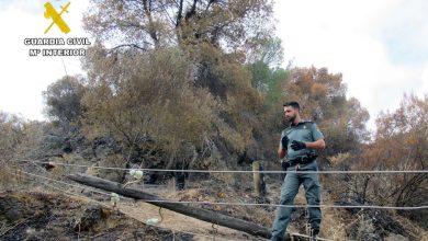 Photo of El incendio forestal de Los Garres de junio fue provocado por una línea eléctrica no autorizada de un caserío
