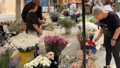 Photo of El mercadillo de las flores se vuelve a instalar en el jardín de las Palomas
